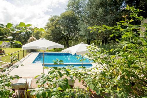 Lodge Caba�as Del Arroyo