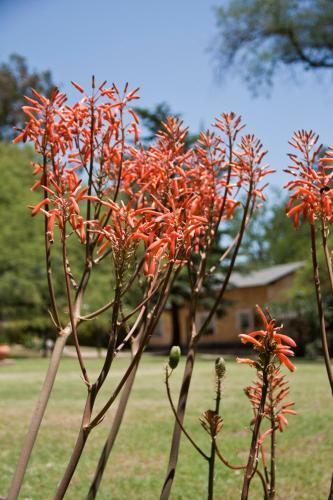 Lodge Caba�as Del Arroyo