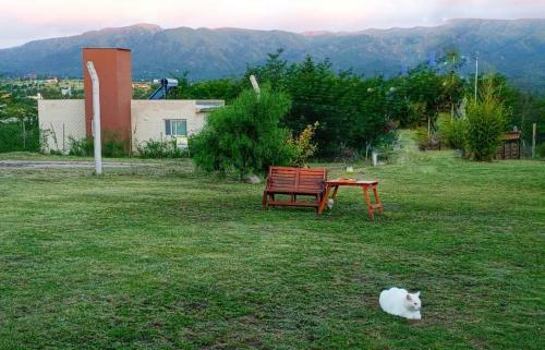 Apartamento Fuerza Natural