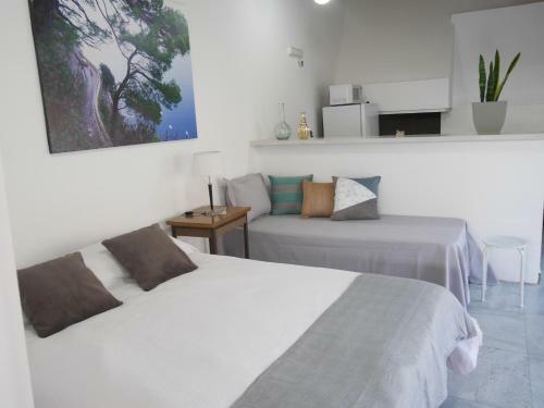 Apartamento Monoambiente Con Cochera
