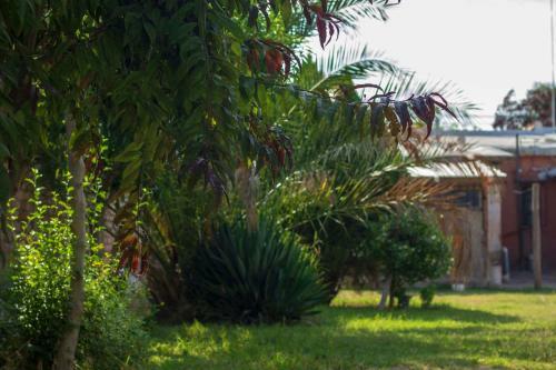 Casa Vista Flores Valle de Uco