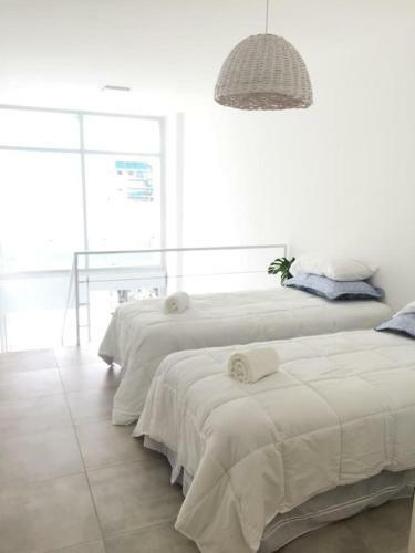 Apartamento Oasis En El Barrio - Loft Increible!