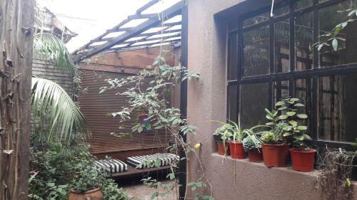 Suites & Tent Experience