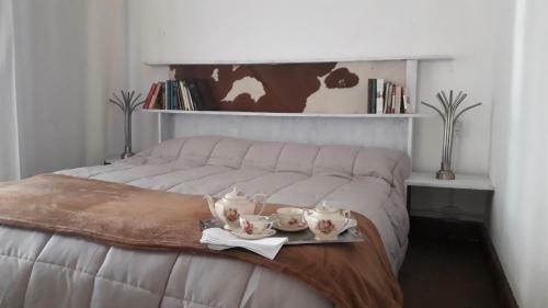 Suites & Tent Experience