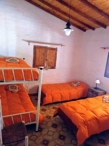 Posada Aire de Barreal Hostel Andino