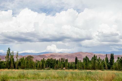 Posada Aire de Barreal Hostel Andino