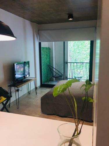 Apartamento Studio II