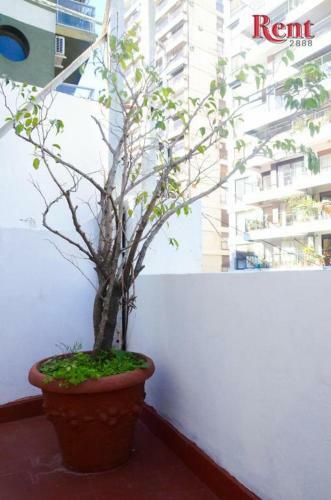 Apartamento Rent Palermo Bot�nico