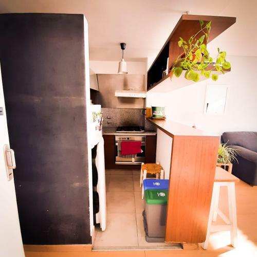 Apartamento Palermo. Bulnes Y Honduras