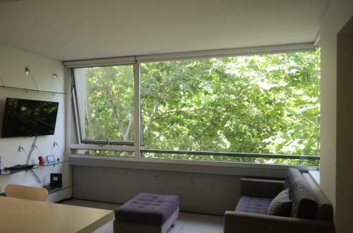 Luminous Apartment In Palermo Hollywood