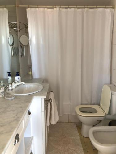 Cozy Apartament In Recoleta