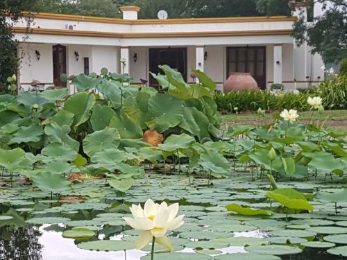 Lodge Estancia Del Olivo