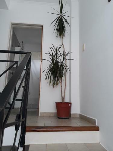Apartamento Chelena