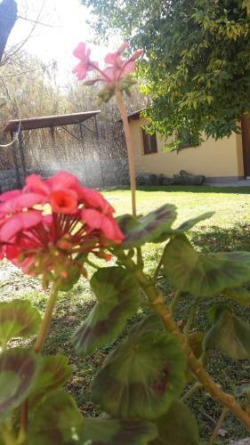 Hostal Mamaku Huasi