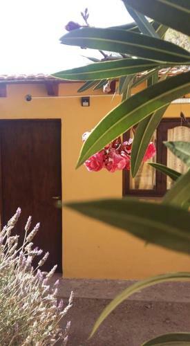 Hostal Mamaku Huasi