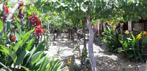 Hostal Mamaku Huasi