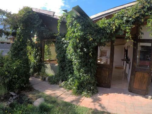 Bed & Breakfast Pura Vida Hostel
