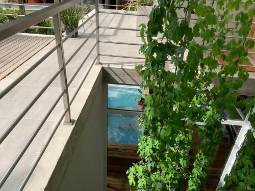Casiopea Apart-spa-mar
