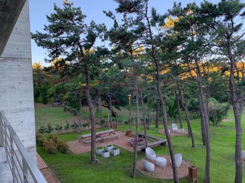 Casiopea Apart-spa-mar