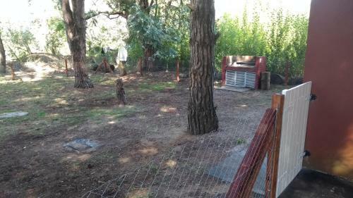 La Peregrina - Bosque Y Mar