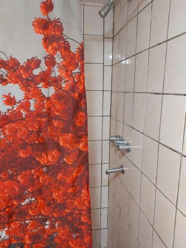 Apartamento Caba�a Vivir