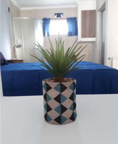Apartamento Studio Toro