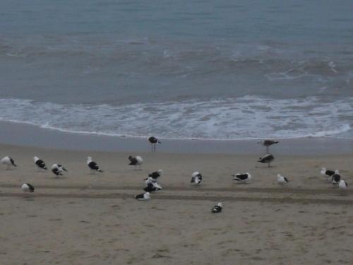 Lodge Santos Express