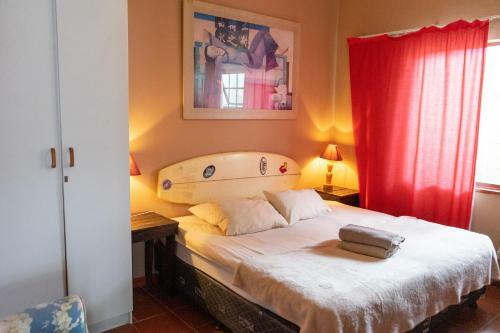 Albergue Dolphin House Backpackers And Self Catering