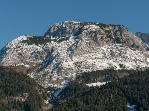 Dachstein Chalet