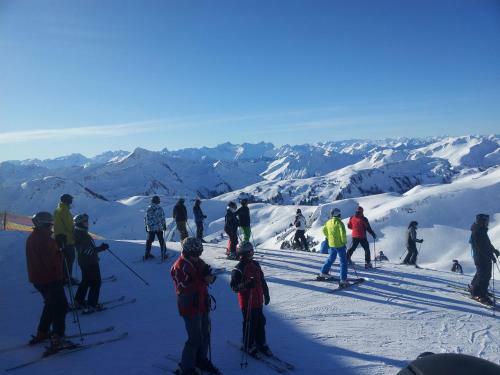 Apartamento Ferienwohnung Schnetzer Au