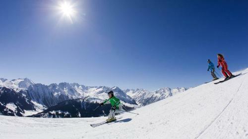 Apartmenthaus Wiesenhof