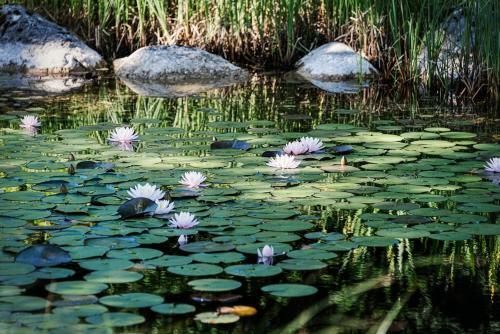 Villa Anna Bad Goisern Am Hallst�ttersee
