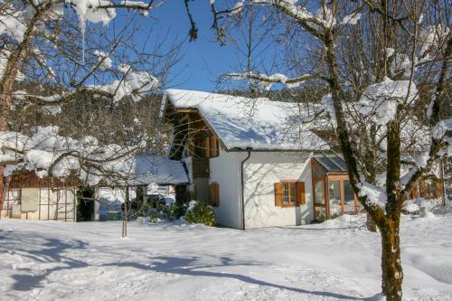 Villa Anna Bad Goisern Am Hallst�ttersee