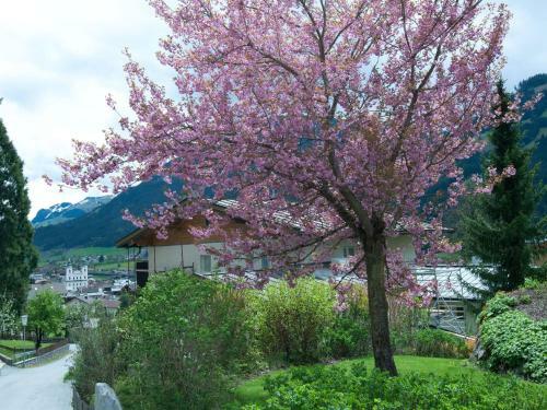 Wonderful Apartment In Brixen Im Thale With Sauna