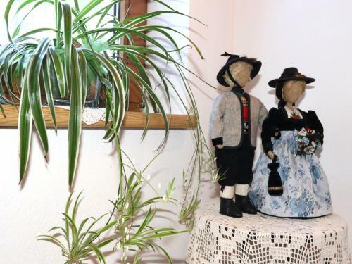 Apartamento Haus Brandacher II