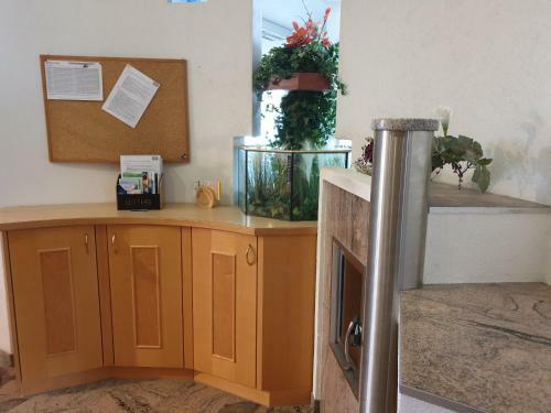 Apartamento Appartement Bettina
