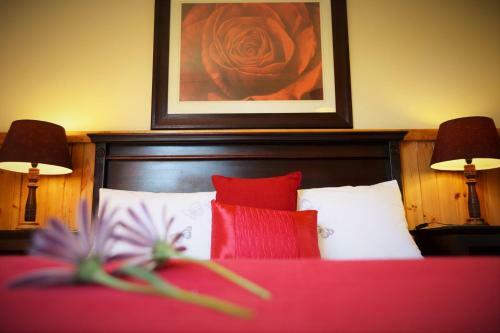 Hostal Forest Edge - Nature Lovers' Retreat