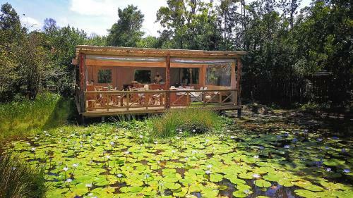 Hostal Forest Edge - Nature Lovers' Retreat