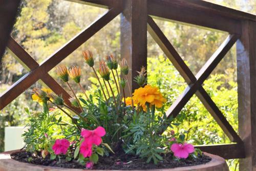 Hostal Forest Edge - Nature Lovers' Retreat