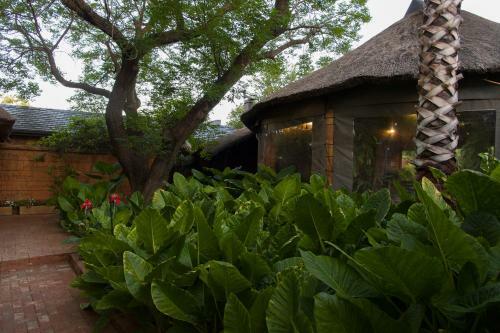 Hostal Bayswater Lodge