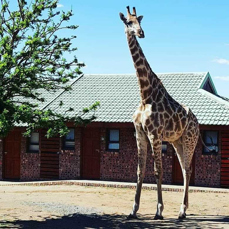 Sangiro Lodge