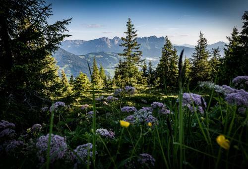 Hostal Berghaus Tirol
