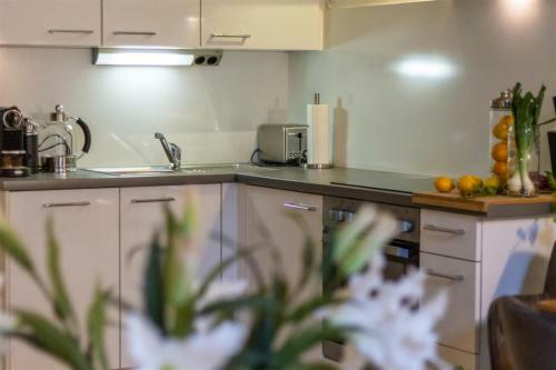Smile Apartments Zur Gozzoburg