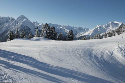 Apartamento Appartementhaus Mayrhofen