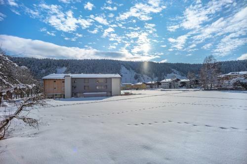 Apartamento Haus Alpenruhe By Schladmingurlaub