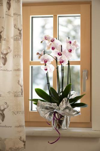 Apartamento Haus Alpenruhe By Schladmingurlaub