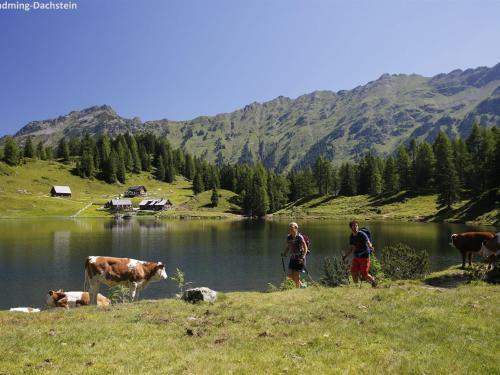 Apartamento Schladming An Der Piste 3
