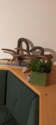 Apartamento Alpina Appartement