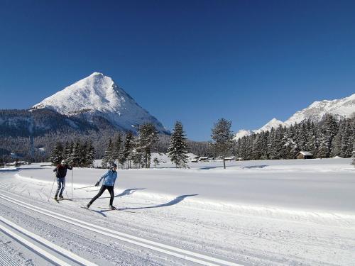 Relaxing Apartment In Seefeld In Tirol With Gardenter