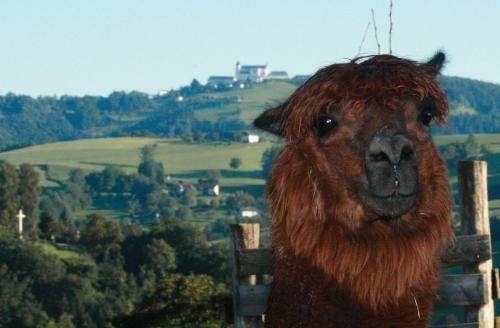 Bed & Breakfast Tierpark Buchenberg